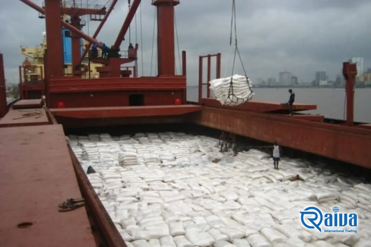 Portland cement in bags and big bags for export &mdash; graded sample